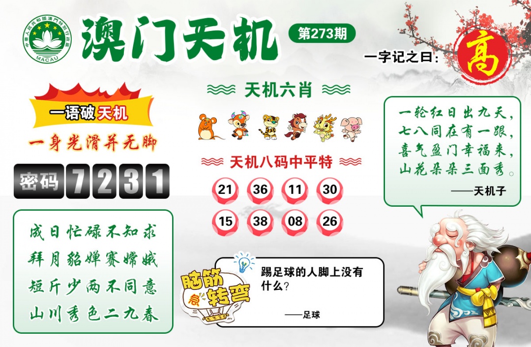 澳门天机